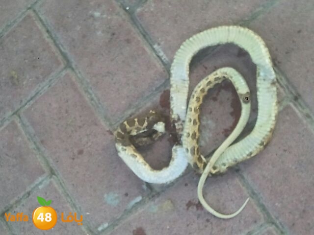 af3a lud 902 school (1).JPG